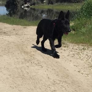 Meet your Posher, Elijah